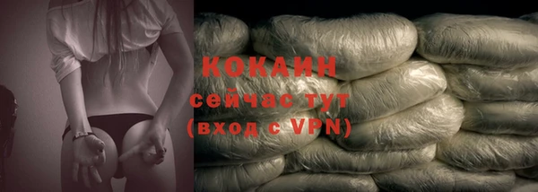 твердый Абаза