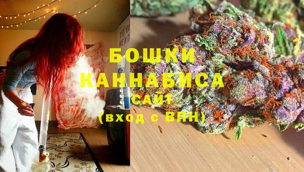 винт Гусев